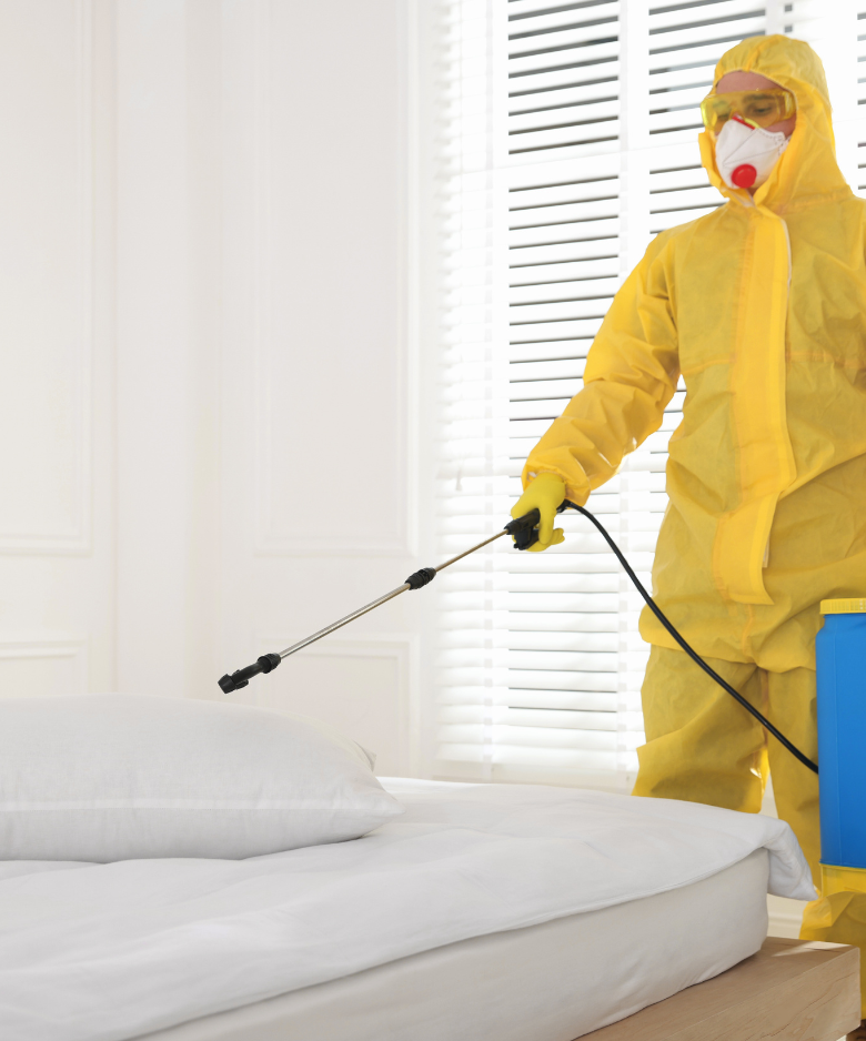 Professional Pest Control Team in Greenwith